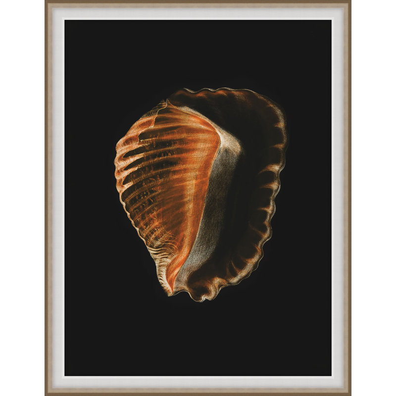 Wild Calm 2 Print by Art House Studios, 20" H x 16" W x 2" D