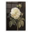 «Heirloom White Rose On Black» par Danhui Nai, art mural en verre acrylique-1940313412