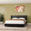 Lit rembourré en velours avec 4 tiroirs de rangement Better Home Products Izayah-812012408-812012294