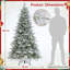 Christmas Tree-1369750474