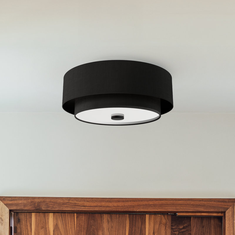 Hunter Brookside 2 Light Flush Mount Ceiling Light Fixture, Black, Matte Black