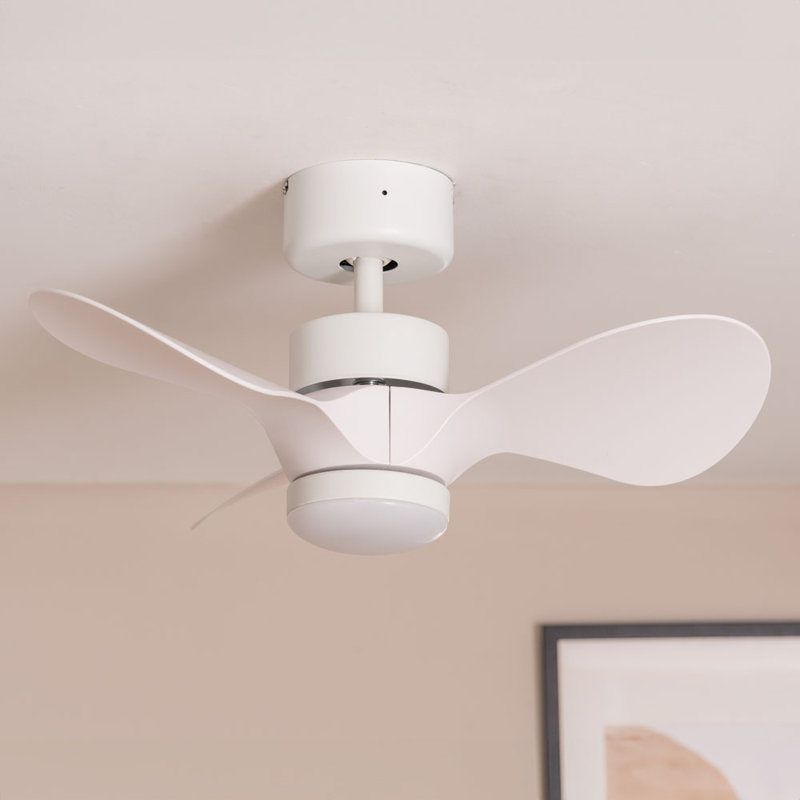 Cayleeann 24cm Ceiling Fan with LED Lights, White