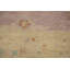Tapis floral 7 x 7