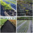 Gardening Propagation Mat-51833143