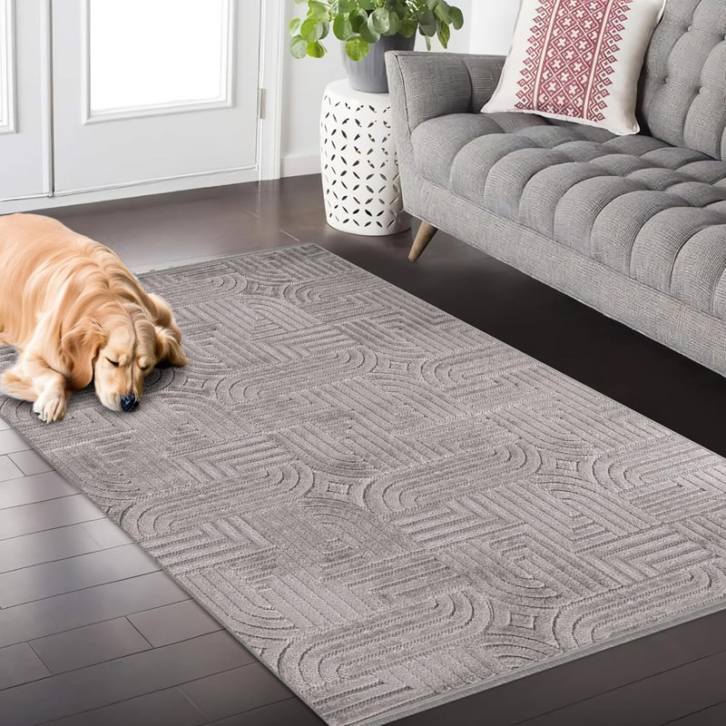 Soft Area Rug for Bedroom Floor Mats Medium Pile Entryway Rugs Textured Polypropylene Carpet TR001, Rectangle 160 x 230 cm 