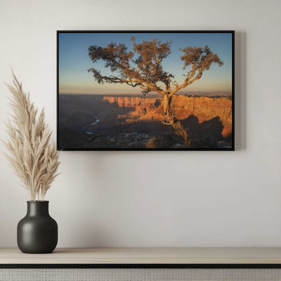 Reproduction d'art «Canyon Treetop» par Martin Podt