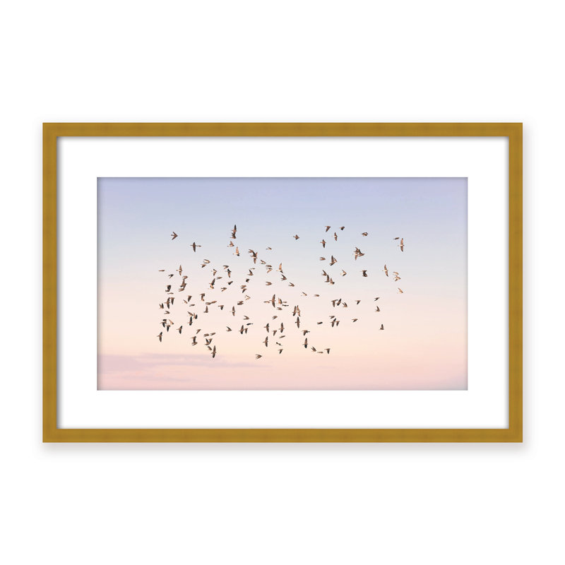 Nature Inspired Sunset Flight by  - Picture Frame Photograph on Paper, Framed Canvas, Brown, 32" H x 48" W x 2.375" D