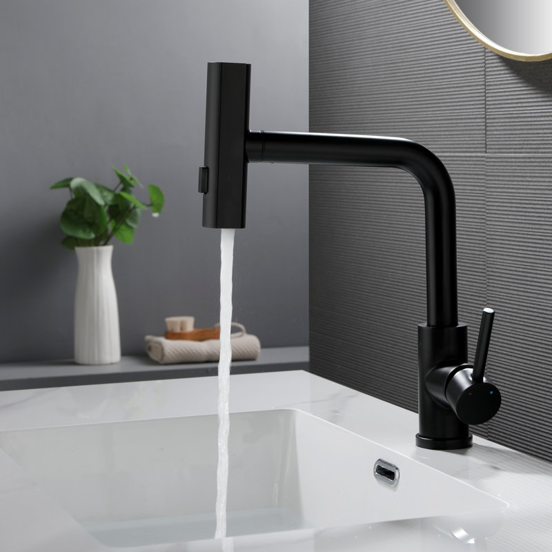 Robinet escamotable pour la cuisine et la salle de bain, Noir mat