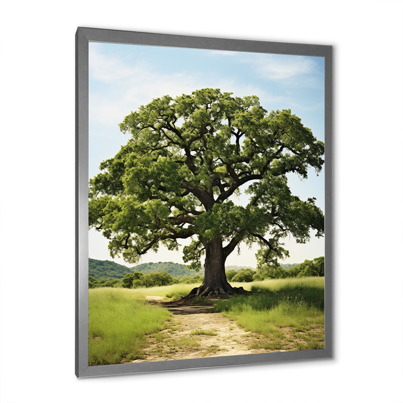 Paysage avec des impressions sur toile, H 32 po x l 24 po x P 1 po, Cadre photo argenté