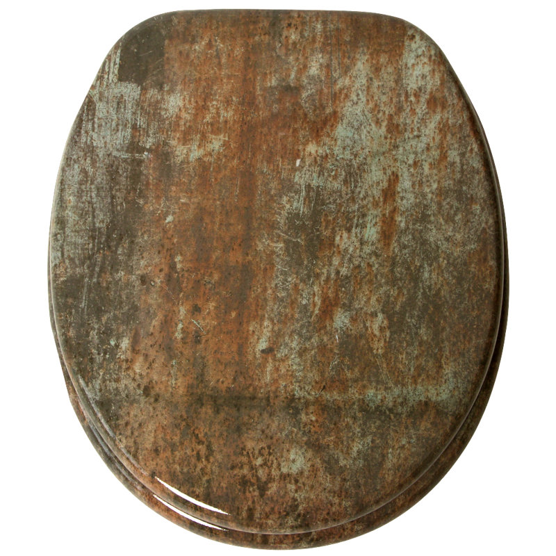IIianie Soft Close Elongated Toilet Seat