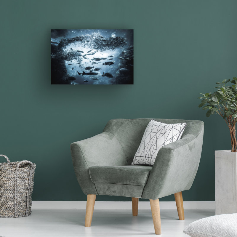 Takashi Suzuki  Underwater Exploration Canvas Art, 12" H x 19" W