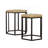 Natural And Black 2-Piece Nesting Table_Coffee Table