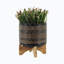 Pot de fleurs en céramique Imagean