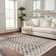 Jasha Checkered Beige/Brown Area Rug
