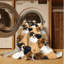  Tapis lavable Papillon-949370592