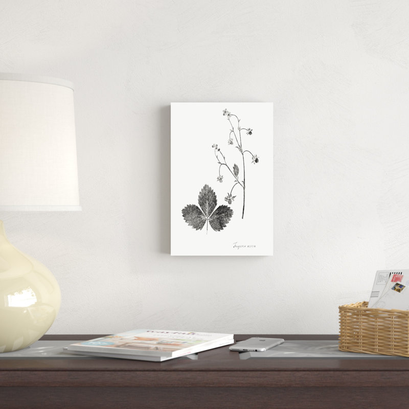 Impression botanique IV, H 12 po x l 8 po x P 1,25 po