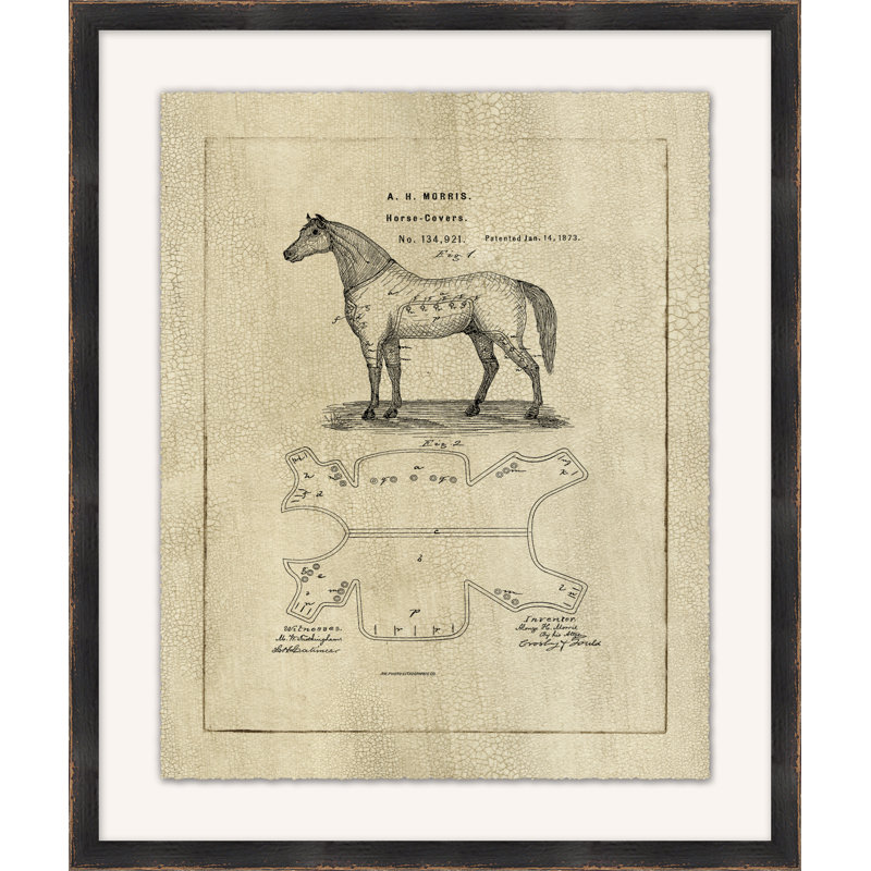 Horse Equipment Study 1