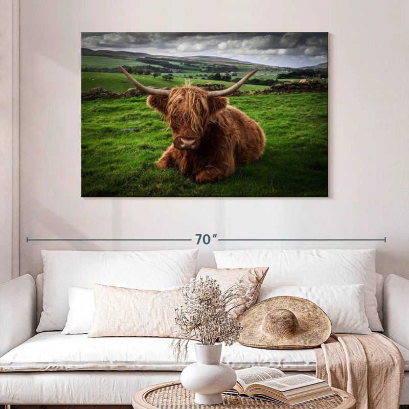 Vache Highland Brampt, H 32 po x l 48 po