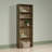 Arisztid Bookcase-428951745