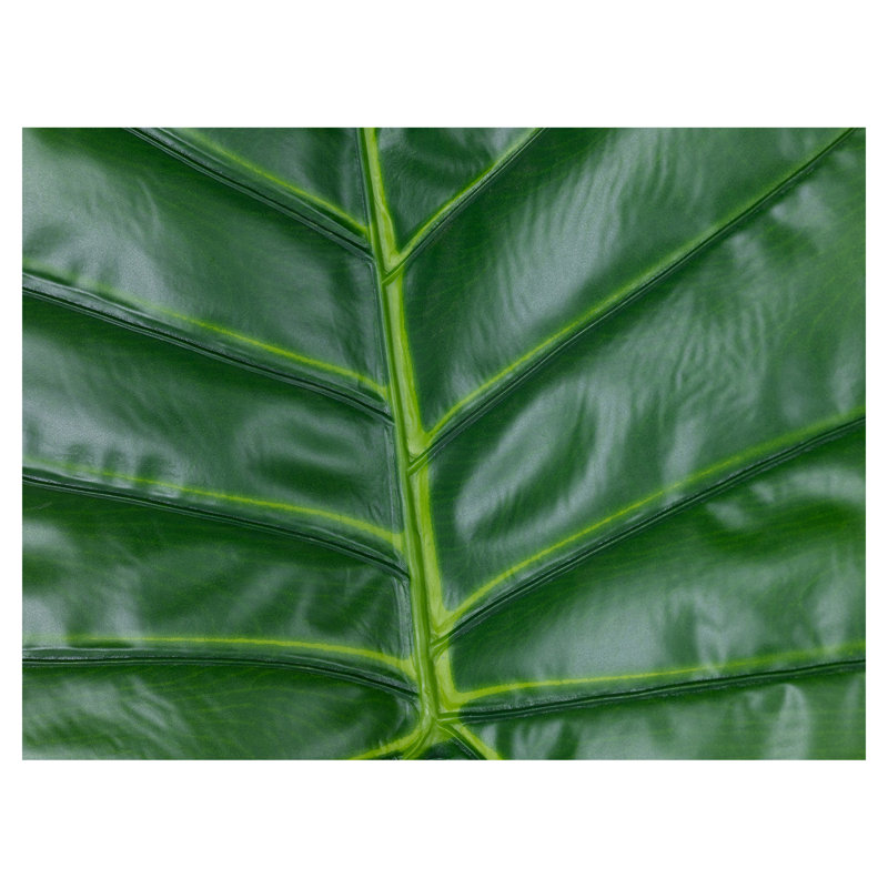 Skjalm Plant, 84cm H x 28cm W x 2cm D
