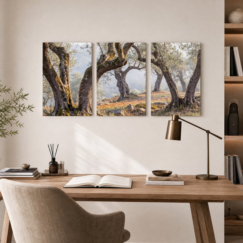 Ensemble d'art mural sur toile Mossy Olive Trunks In Sunlit Grove, H 36 po x l 24 po x 3 pièces