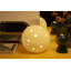 Masayo Novelty Lamp