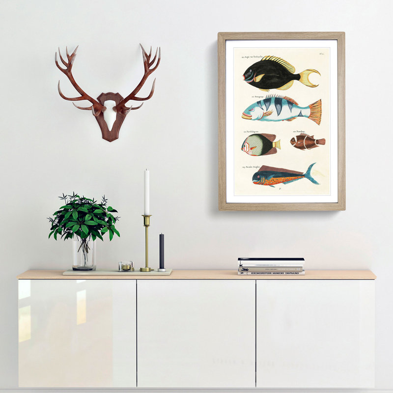 East Indies Fish Illustrations Fol. 22 by Louis Renard - Picture Frame Painting Print, Oak Framed, 36cm H x 27cm W x 2cm D