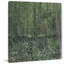 "Trees and Undergrowth", reproduction sur toile tendue-1069092401
