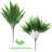 Fern Arrangement