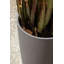 Pot à fleurs Mason Series Selena-69443899-69664558