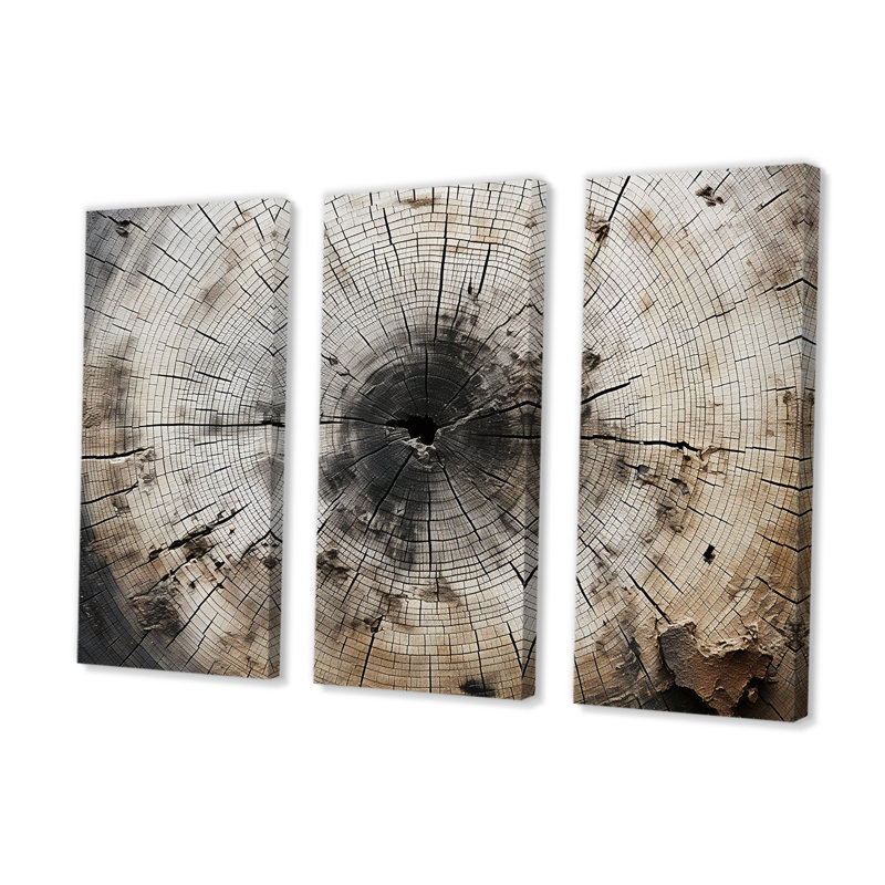 Tree Cut Stump Beauty - Ensemble de décoration murale arbre séquoia, Toile tendue, H 40 po x l 60 po x P 1 po