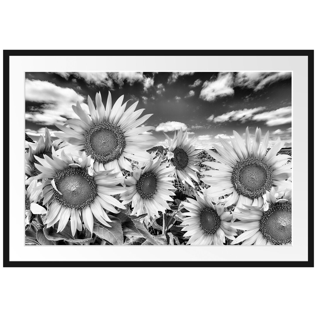 Gerahmtes Poster Sonnenblumenwiese unter Himmel