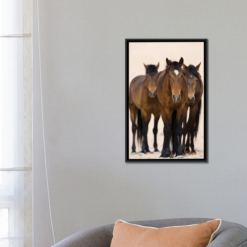 Reproduction de photo sur toile, H 26 po x l 18 po x P 1,5 po, Toile avec cadre noir, Pas de tapis