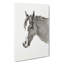Head of the Horse by Jean Bernard - Wrapped Canvas-55360174