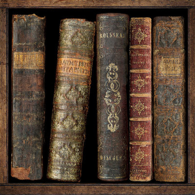 " In The Library II " by Russell Brennan