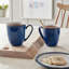 Denby Imperial Blue Mugs