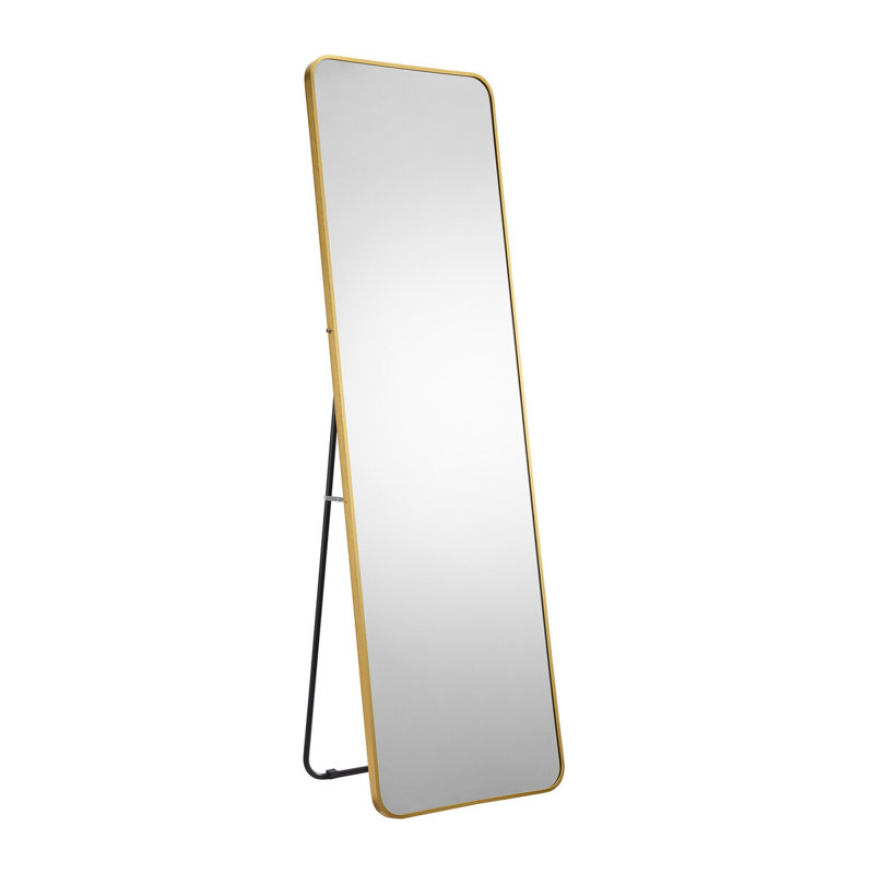 Cynita Free Form Wall Full Length Mirror