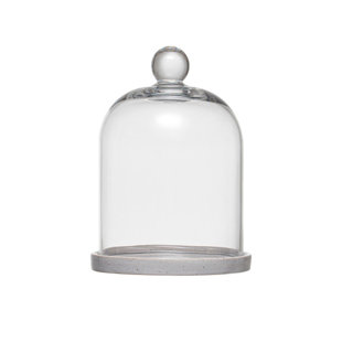 https://assets.wfcdn.com/im/76689598/resize-h310-w310%5Ecompr-r85/2351/235191439/jaewoo-cloche-or-water-globe.jpg