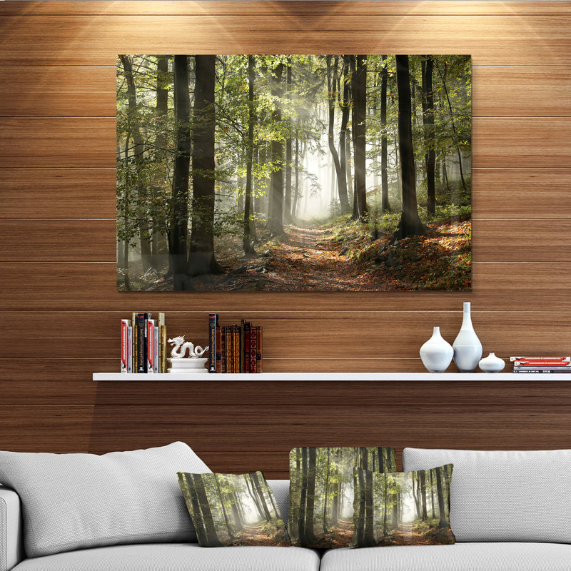«Green Fall Forest with Sun Rays - Forest», reproduction de photo, H 12 po x l 20 po, Impression encadrée, Métal métal
