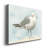 " Simple Seagull I "-981029674