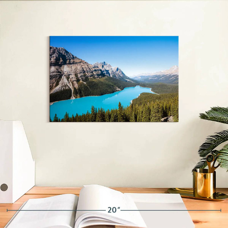 Alamar, aigue-marine, lac Peyto, H 8 po x l 12 po