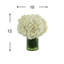 Hydrangeas in Glass Vase with Grass
