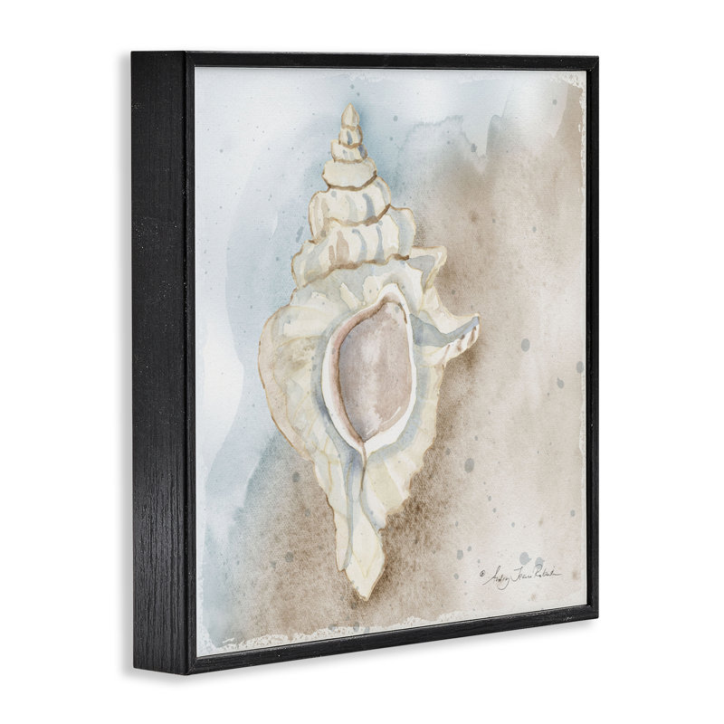 «Subtle Conch on Shore», estampe numérique, design par Audrey Jeanne Roberts, Giclée encadrée noir minuit, H 12 po x l 12 po