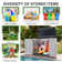 4.5 Ft. W X 2.5 Ft. D Resin Storage Shed