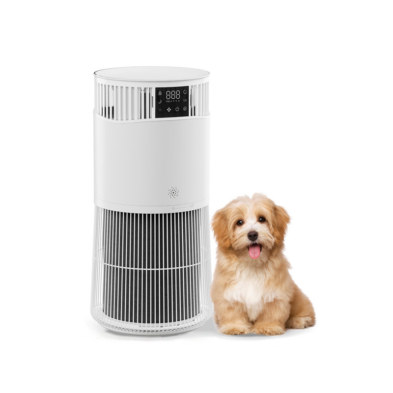 Purificateur d'air HEPA pour la maison, filtre à air à haute efficacité avec filtration avancée, élimine les allergènes, idéal pour une utilisation à l'intérieur