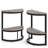 Adasha End Table Set-264566230