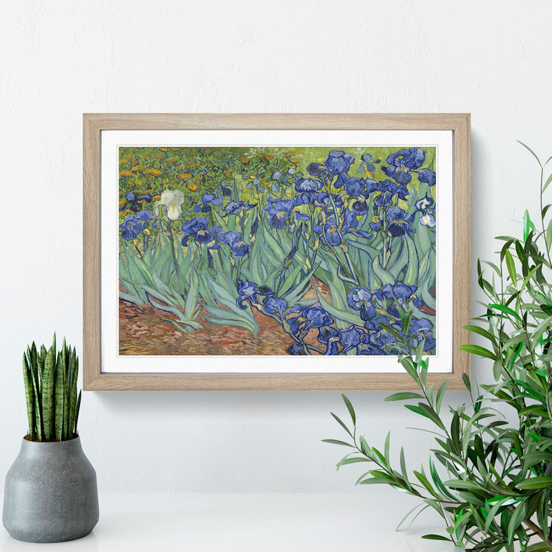 Irises by Vincent Van Gogh - Picture Frame Painting, 27cm H x 36cm W x 2cm D, Oak