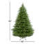 Sapin de Norvège-1582473069