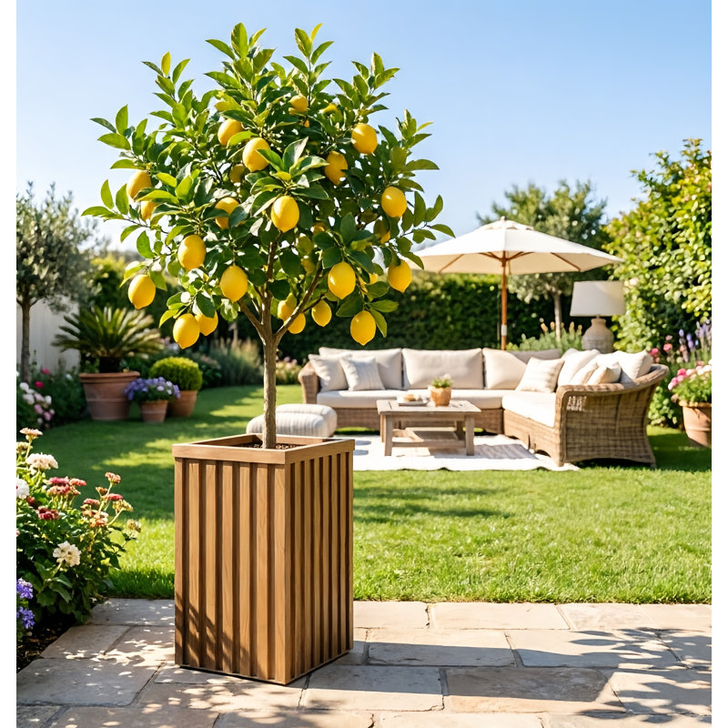 20 In. H X 10 In. W Square Aluminium Planter Pot, Chestnut