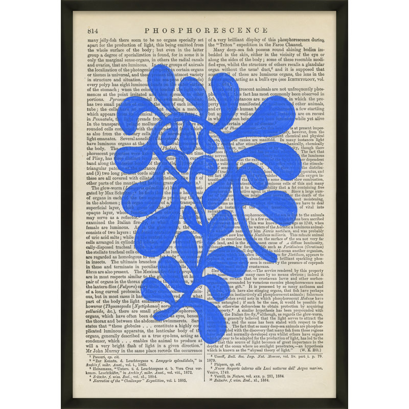 Phosphorescence Print by Michela Sorrentino, 25" H x 18" W x 1.25" D, Black Wood